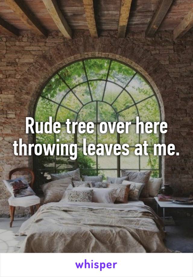 Rude tree over here throwing leaves at me.