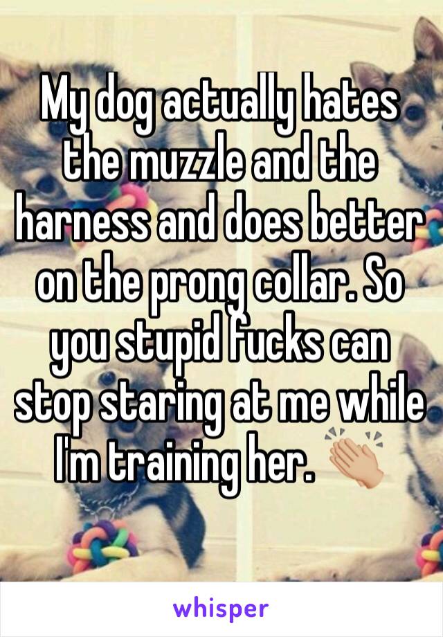 My dog actually hates the muzzle and the harness and does better on the prong collar. So you stupid fucks can stop staring at me while I'm training her. 👏🏼