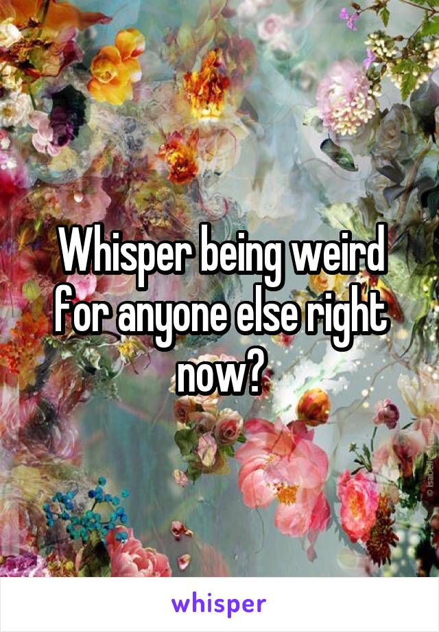 Whisper being weird for anyone else right now?