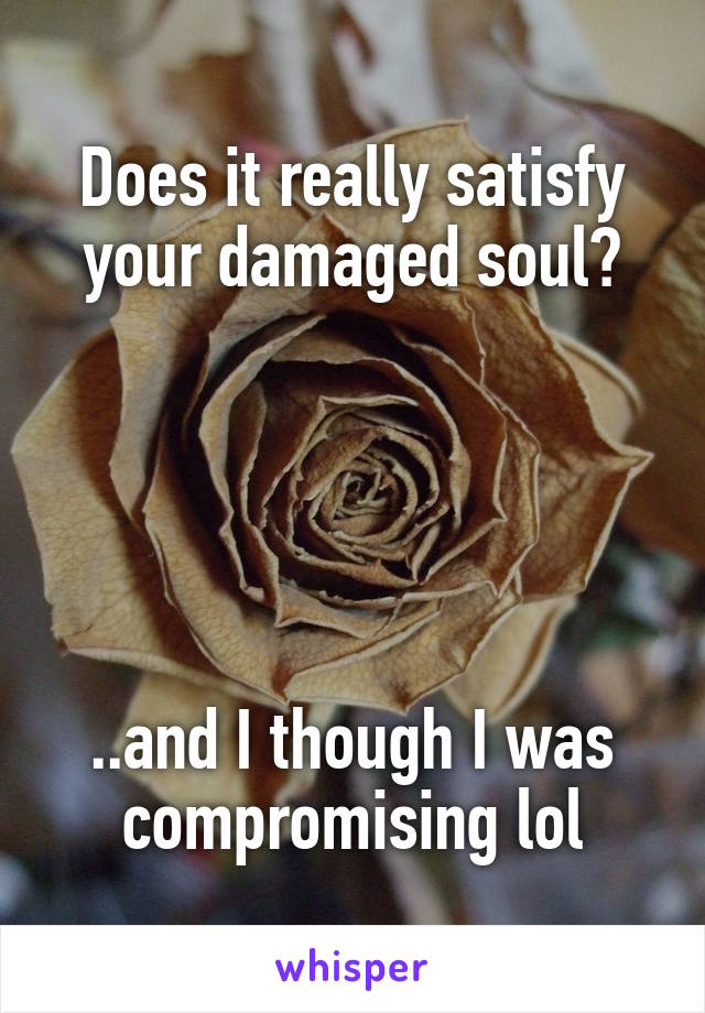 Does it really satisfy your damaged soul?





..and I though I was compromising lol