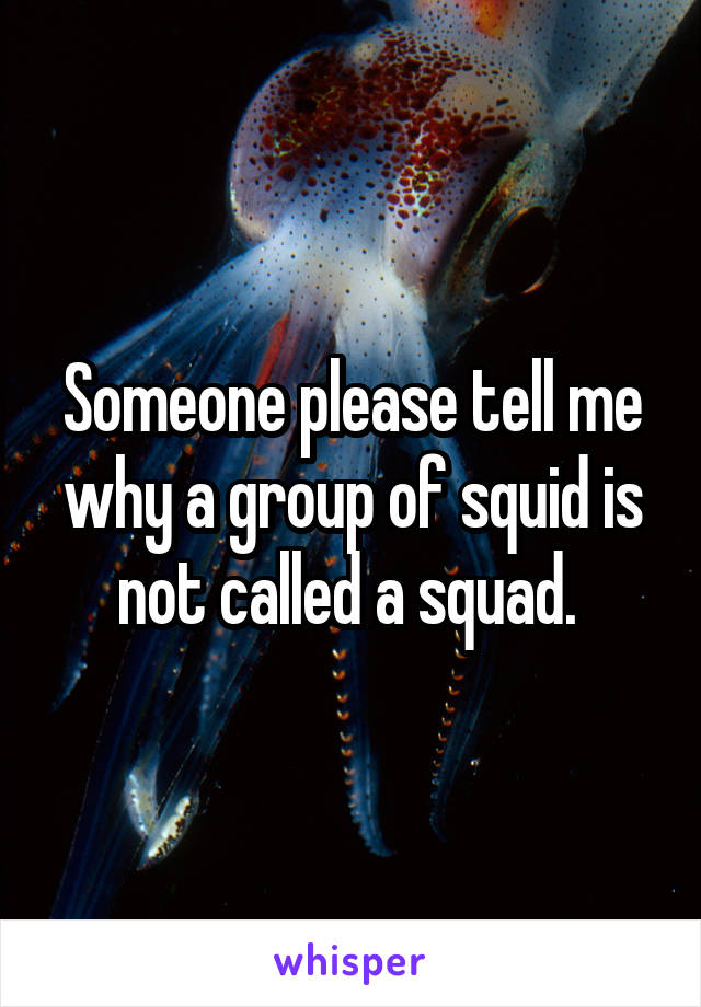 Someone please tell me why a group of squid is not called a squad. 