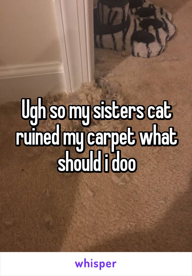 Ugh so my sisters cat ruined my carpet what should i doo