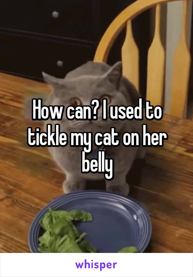 How can? I used to tickle my cat on her belly