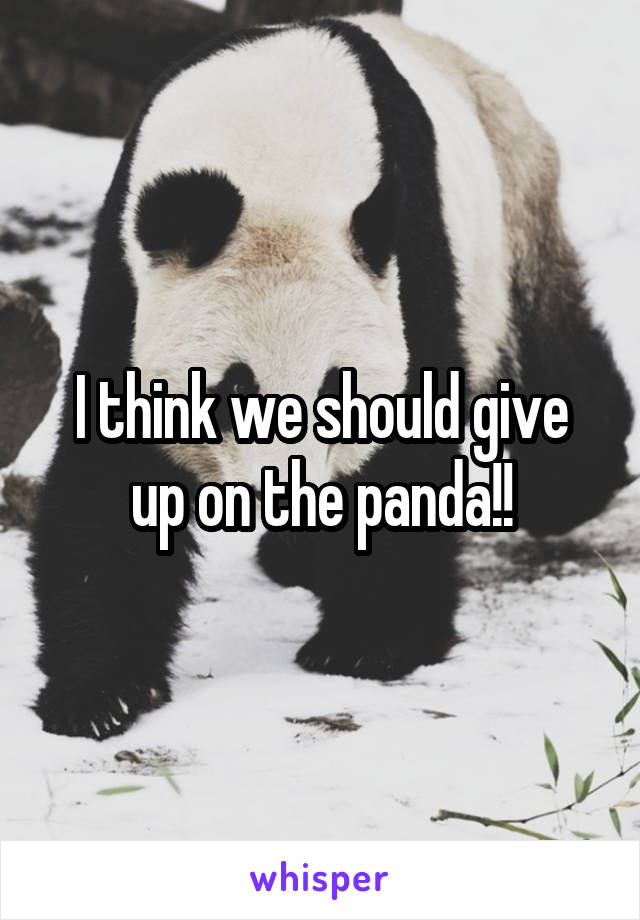 I think we should give up on the panda!!