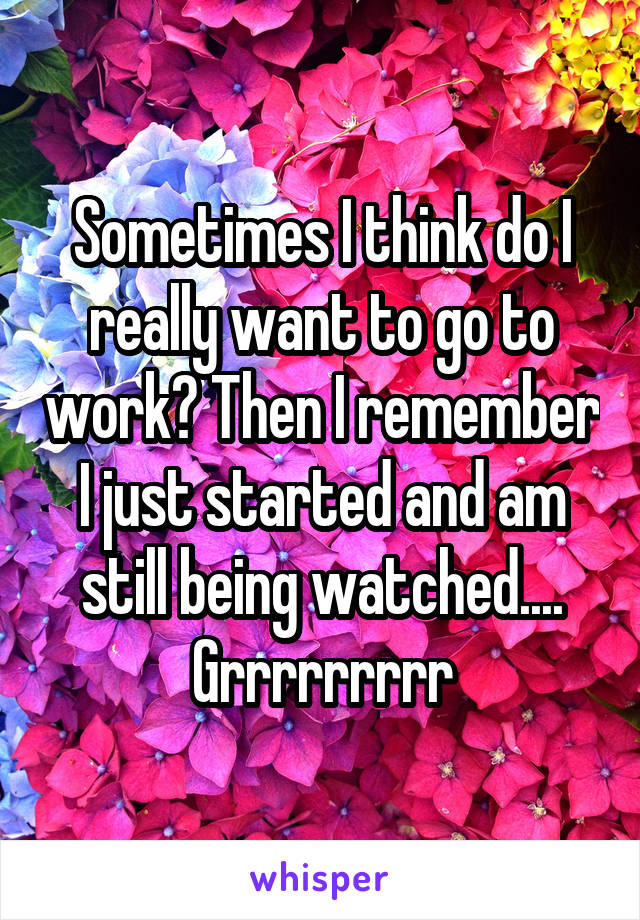 Sometimes I think do I really want to go to work? Then I remember I just started and am still being watched.... Grrrrrrrrr