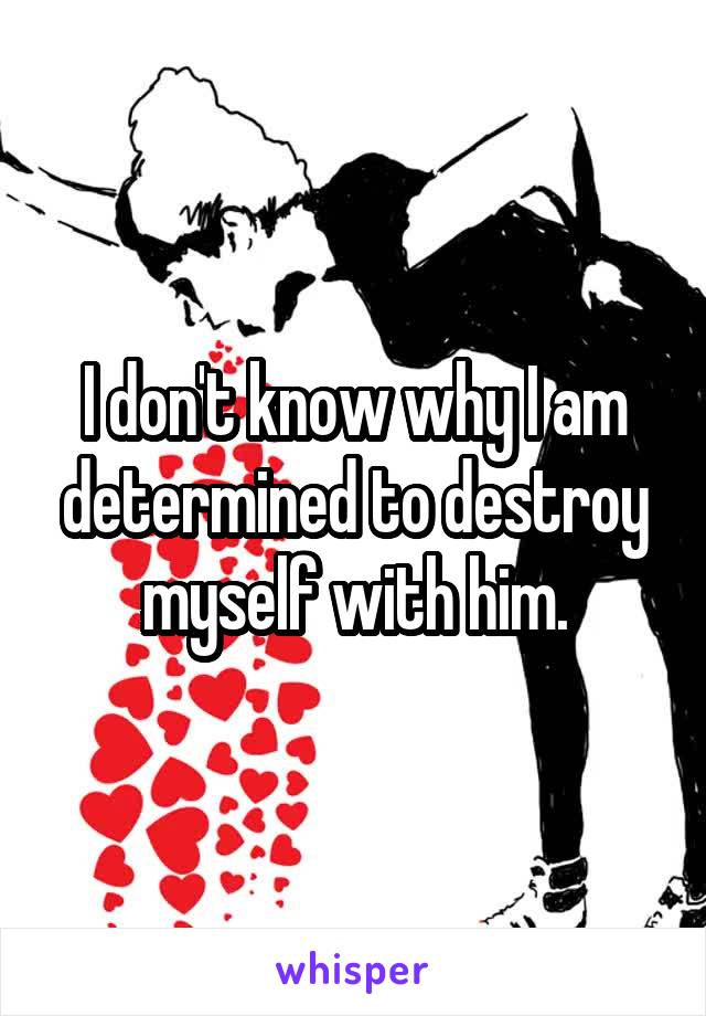 I don't know why I am determined to destroy myself with him.