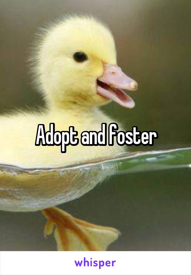 Adopt and foster