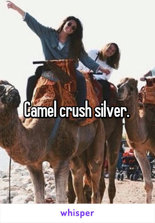 Camel crush silver. 