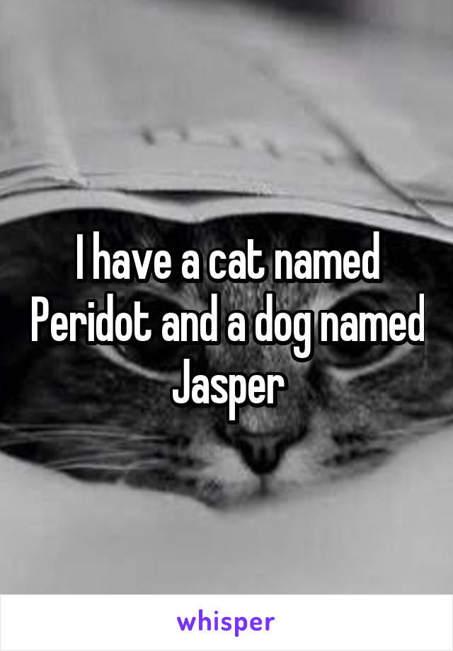 I have a cat named Peridot and a dog named Jasper