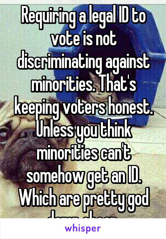 Requiring a legal ID to vote is not discriminating against minorities. That's keeping voters honest. Unless you think minorities can't somehow get an ID. Which are pretty god damn cheap.