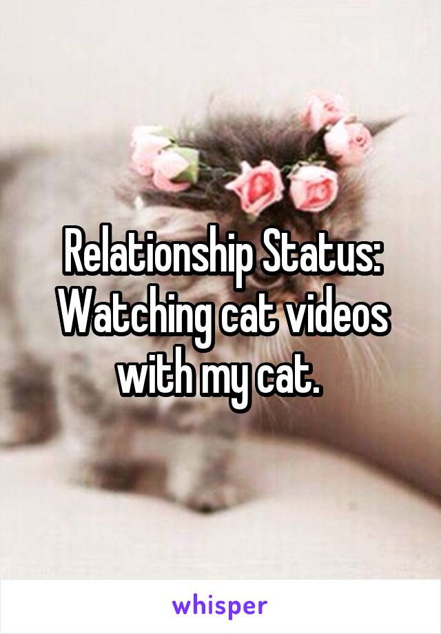 Relationship Status: Watching cat videos with my cat. 