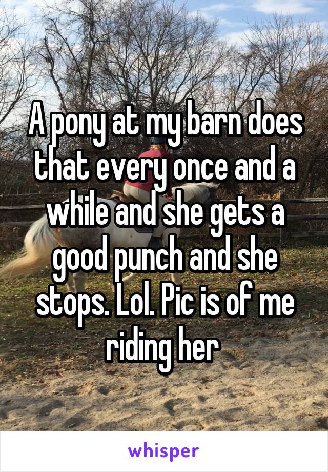 A pony at my barn does that every once and a while and she gets a good punch and she stops. Lol. Pic is of me riding her 