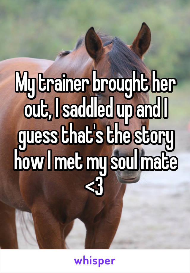 My trainer brought her out, I saddled up and I guess that's the story how I met my soul mate <3 