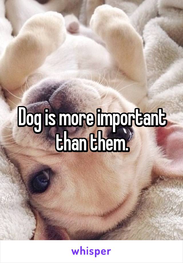 Dog is more important than them.