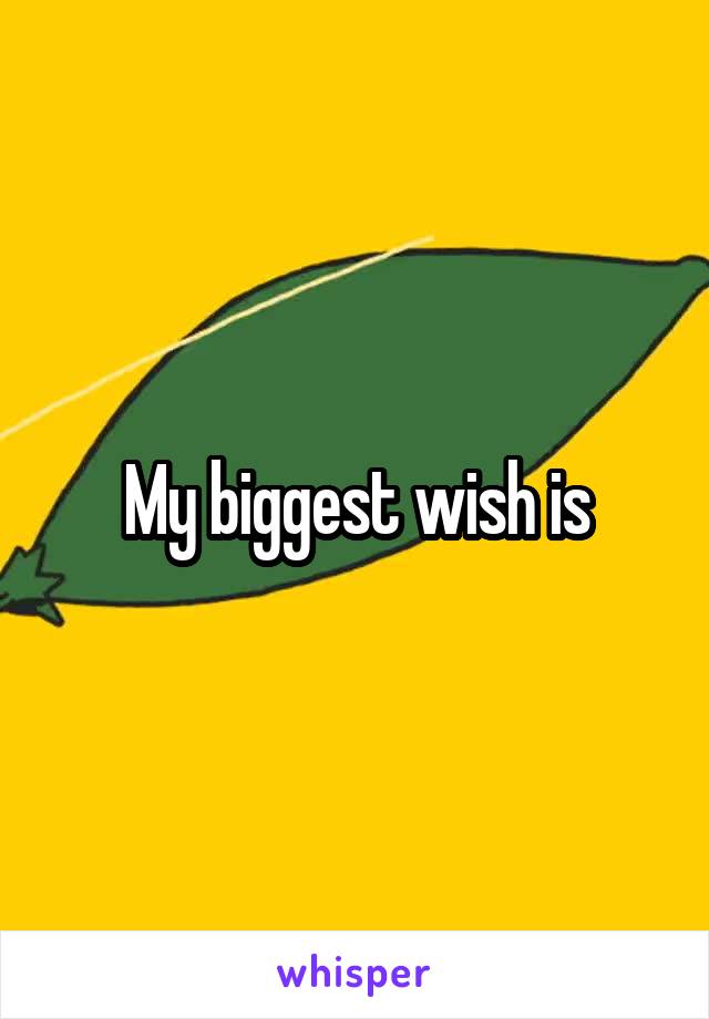 My biggest wish is