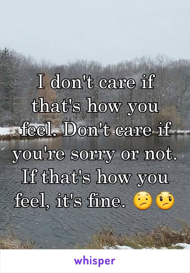 I don't care if that's how you feel. Don't care if you're sorry or not. If that's how you feel, it's fine. 😕😞