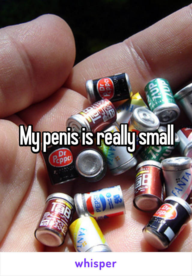 My penis is really small