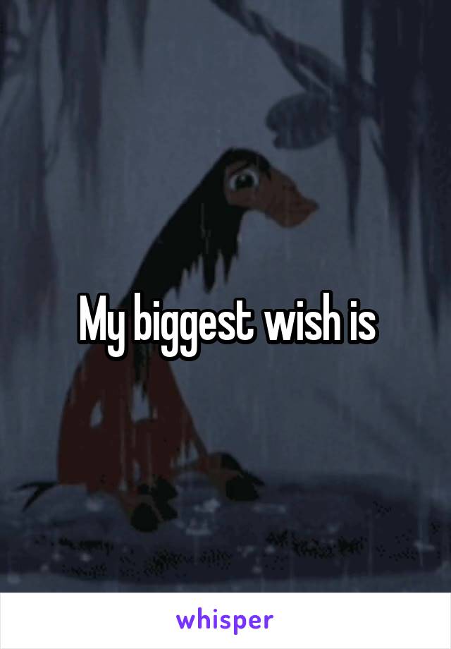 My biggest wish is