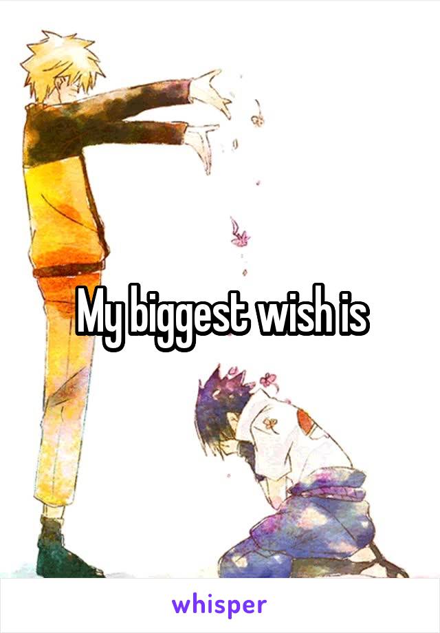 My biggest wish is