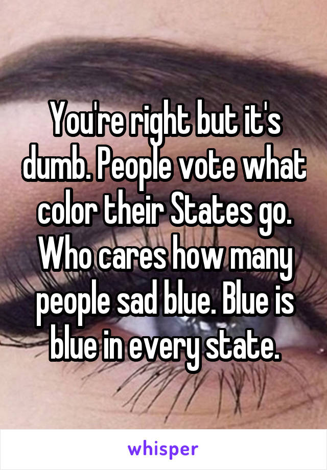 You're right but it's dumb. People vote what color their States go. Who cares how many people sad blue. Blue is blue in every state.