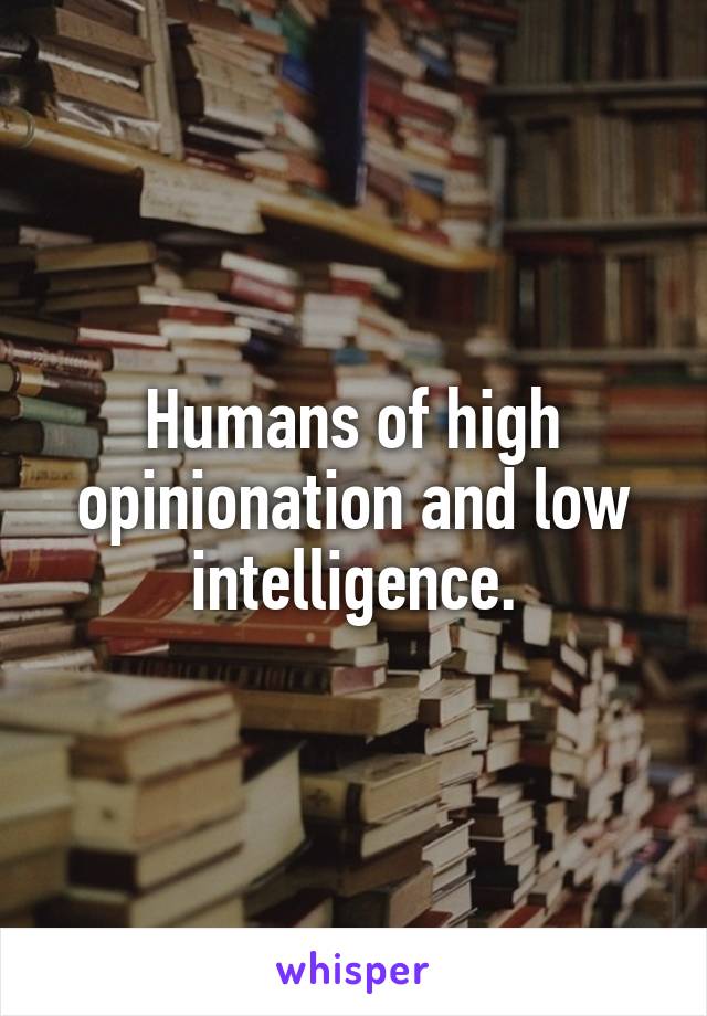 Humans of high opinionation and low intelligence.