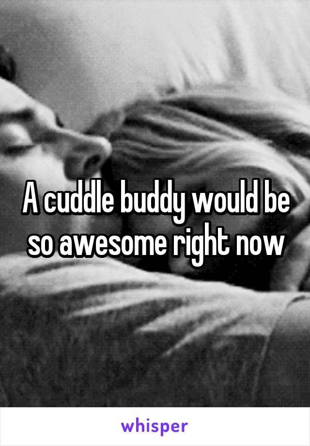 A cuddle buddy would be so awesome right now