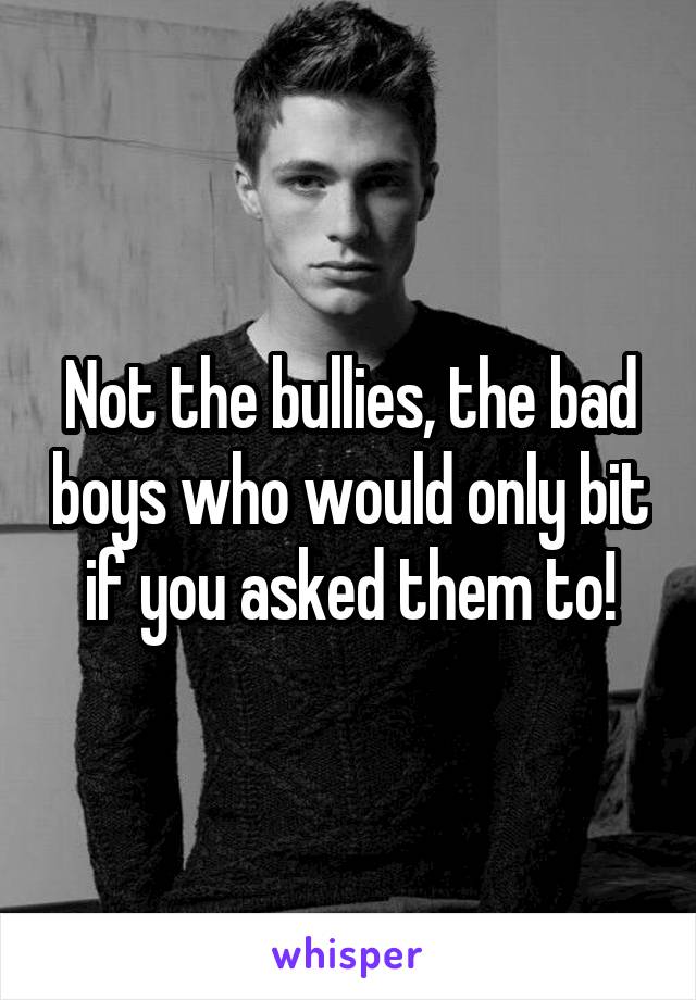 Not the bullies, the bad boys who would only bit if you asked them to!