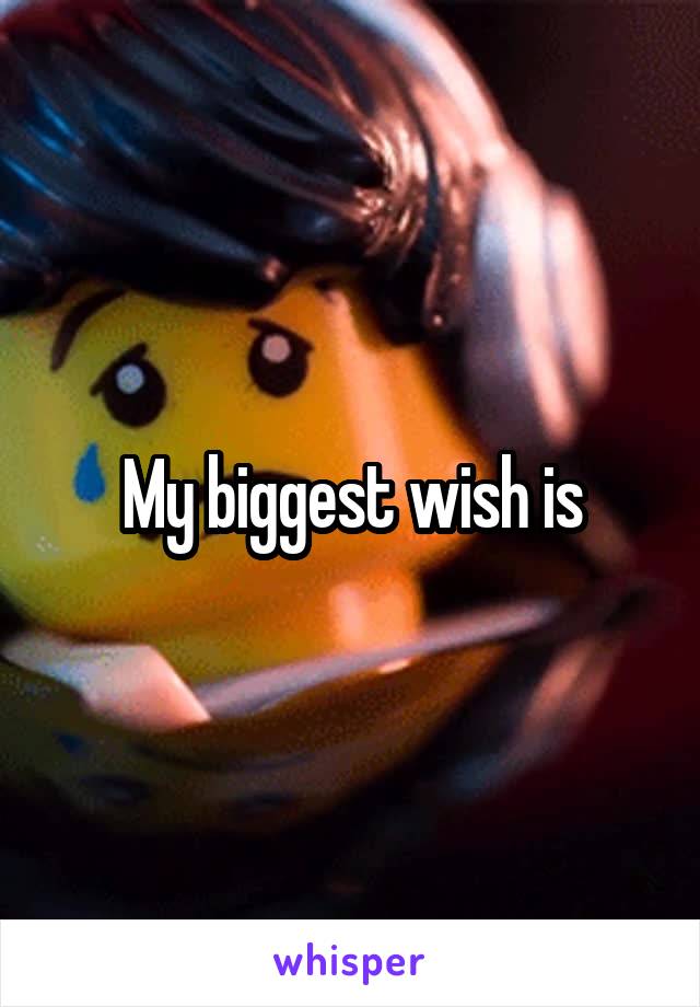 My biggest wish is