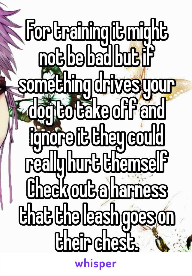 For training it might not be bad but if something drives your dog to take off and ignore it they could really hurt themself
Check out a harness that the leash goes on their chest.