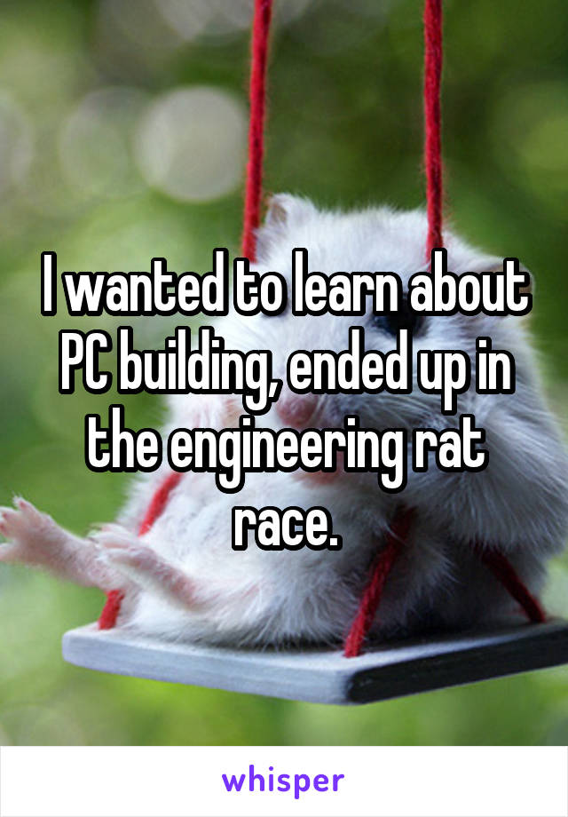 I wanted to learn about PC building, ended up in the engineering rat race.