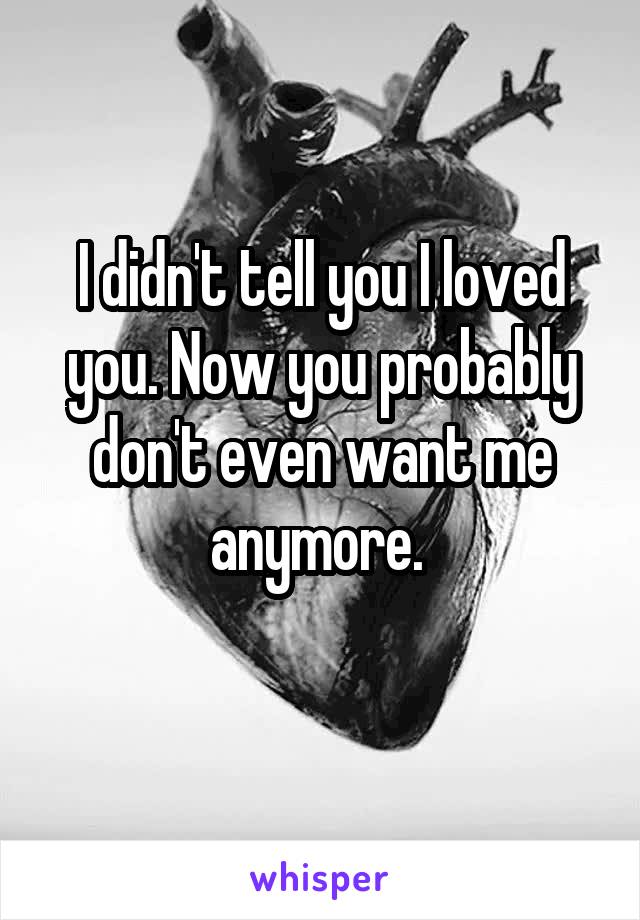 I didn't tell you I loved you. Now you probably don't even want me anymore. 
