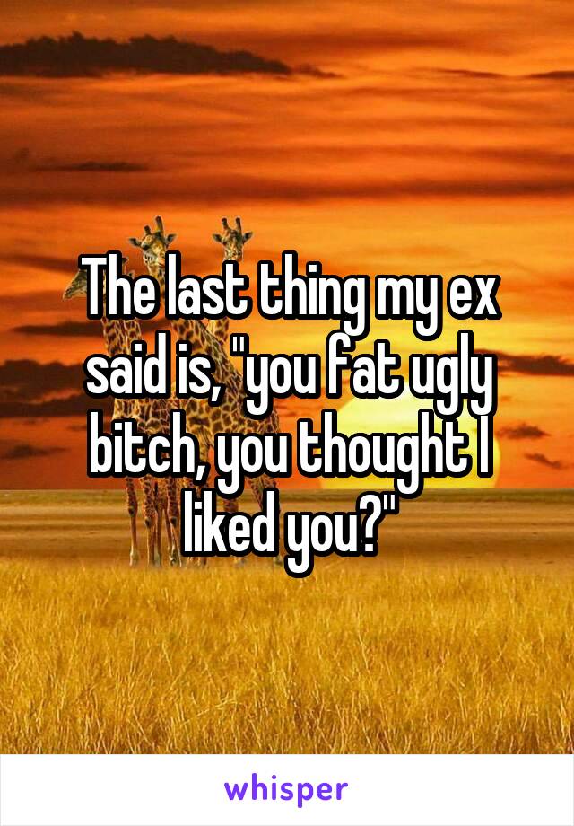 The last thing my ex said is, "you fat ugly bitch, you thought I liked you?"