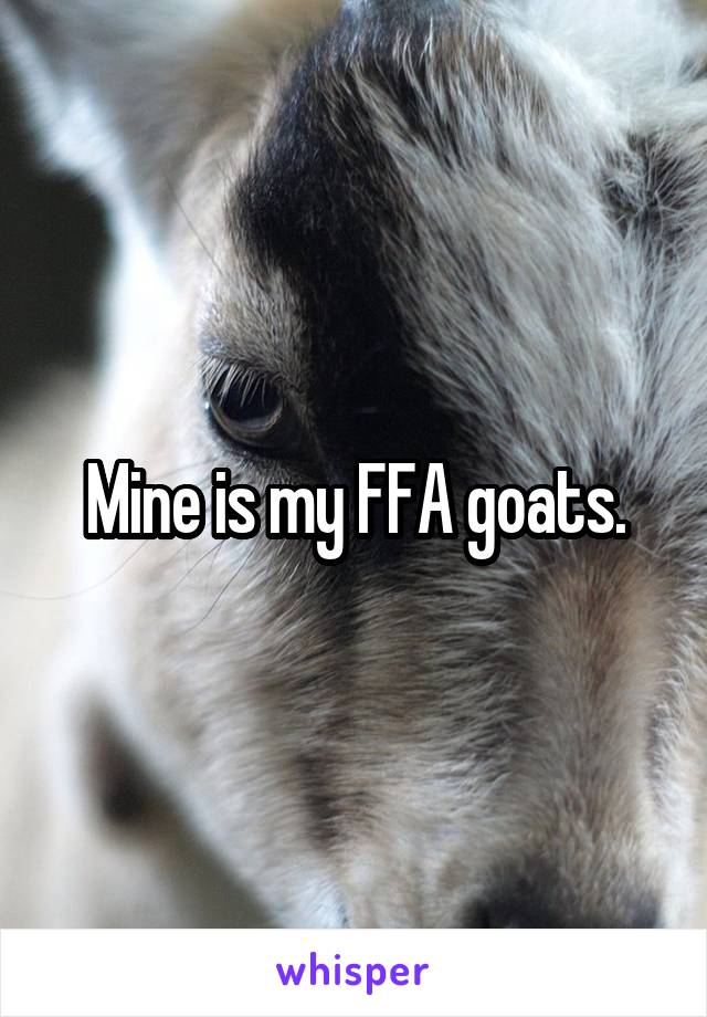 Mine is my FFA goats.