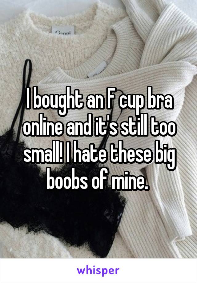 I bought an F cup bra online and it's still too small! I hate these big boobs of mine. 