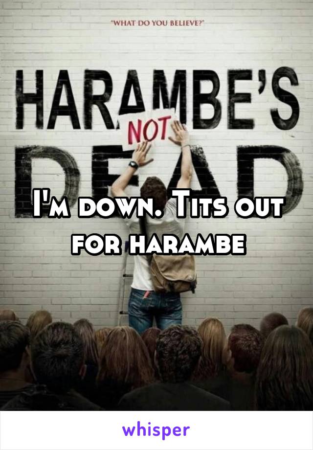 I'm down. Tits out for harambe