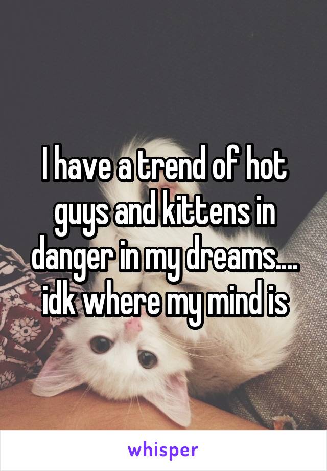 I have a trend of hot guys and kittens in danger in my dreams.... idk where my mind is