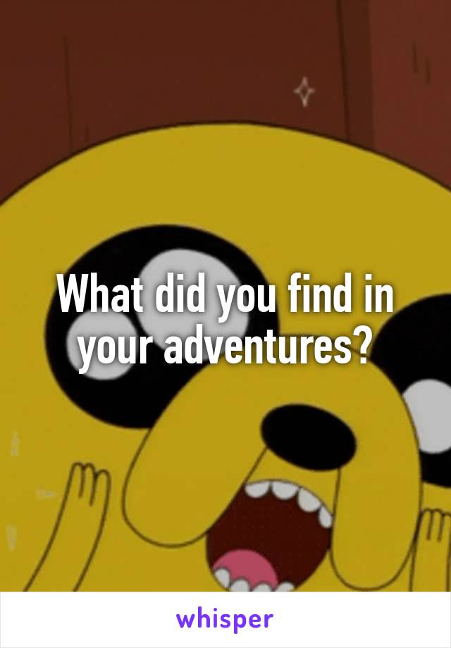 What did you find in your adventures?