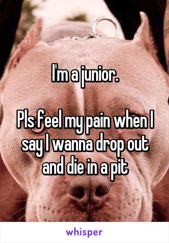 I'm a junior.

Pls feel my pain when I say I wanna drop out and die in a pit