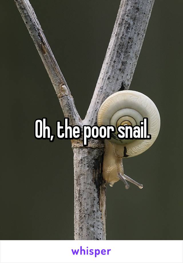 Oh, the poor snail.