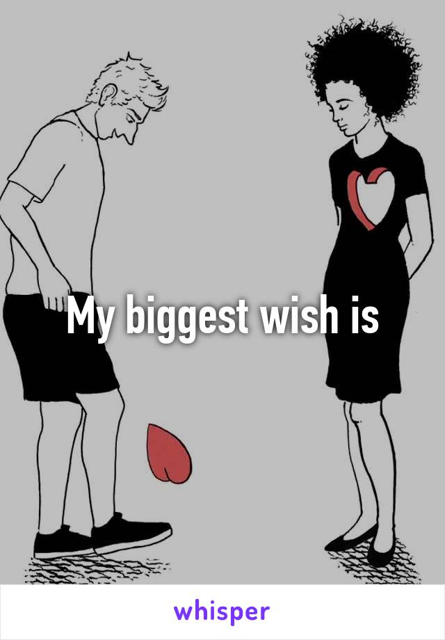 My biggest wish is