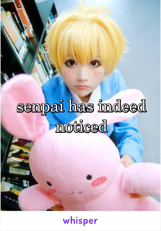 senpai has indeed noticed