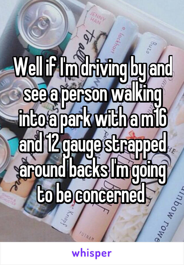 Well if I'm driving by and see a person walking into a park with a m16 and 12 gauge strapped around backs I'm going to be concerned 