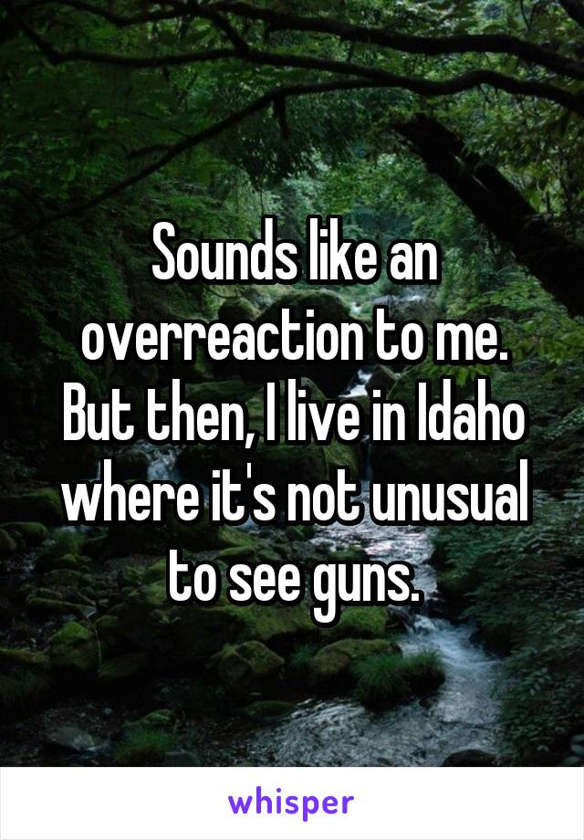 Sounds like an overreaction to me. But then, I live in Idaho where it's not unusual to see guns.