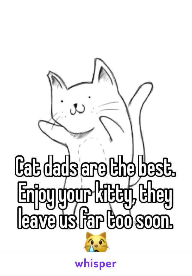 Cat dads are the best. Enjoy your kitty, they leave us far too soon. 😿