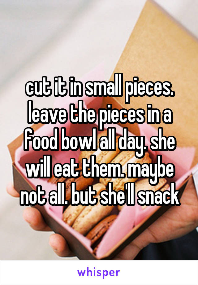 cut it in small pieces. leave the pieces in a food bowl all day. she will eat them. maybe not all. but she'll snack