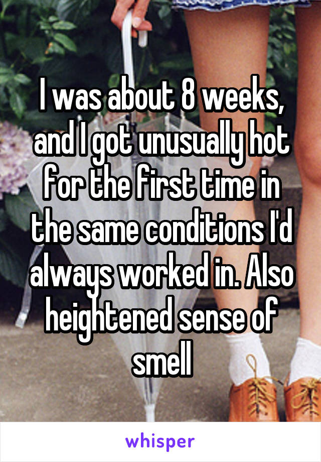 I was about 8 weeks, and I got unusually hot for the first time in the same conditions I'd always worked in. Also heightened sense of smell