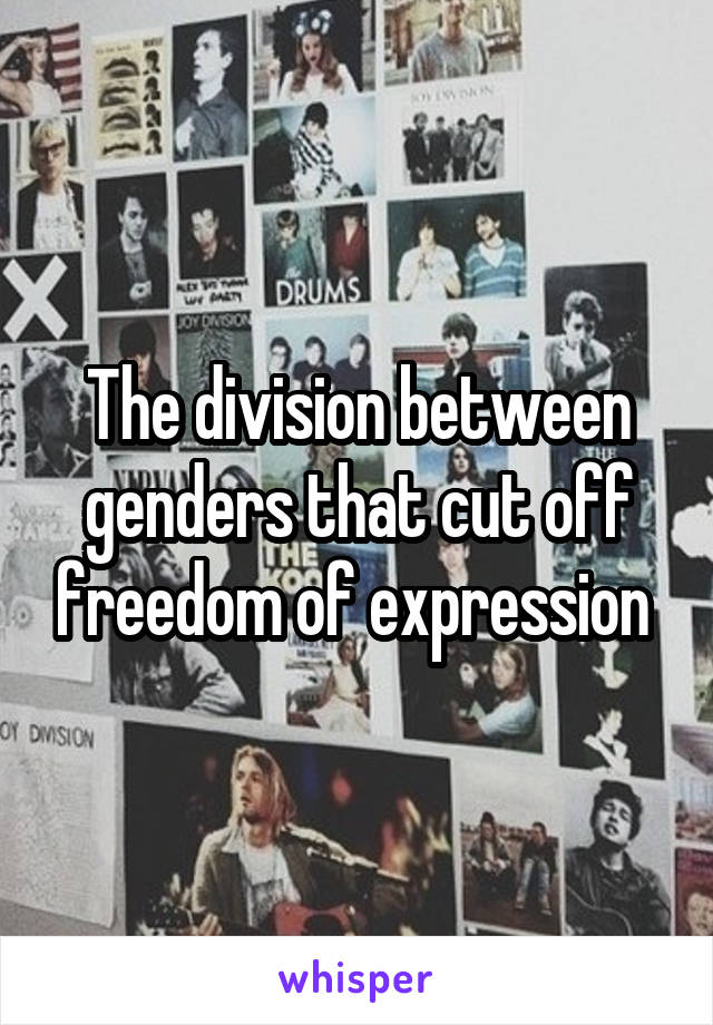 The division between genders that cut off freedom of expression 