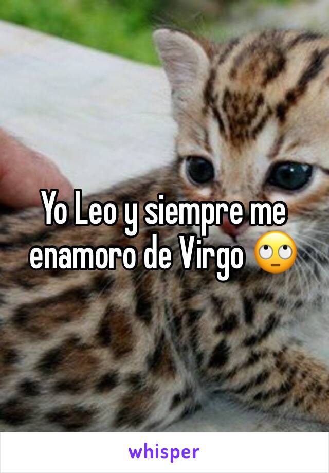 Yo Leo y siempre me enamoro de Virgo 🙄