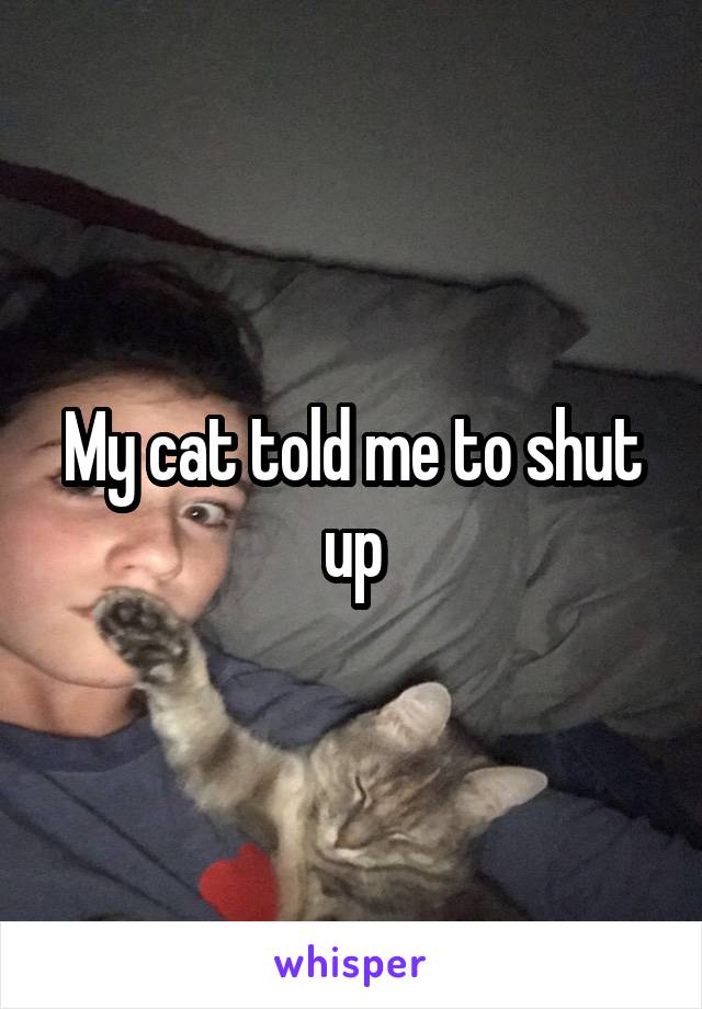 My cat told me to shut up