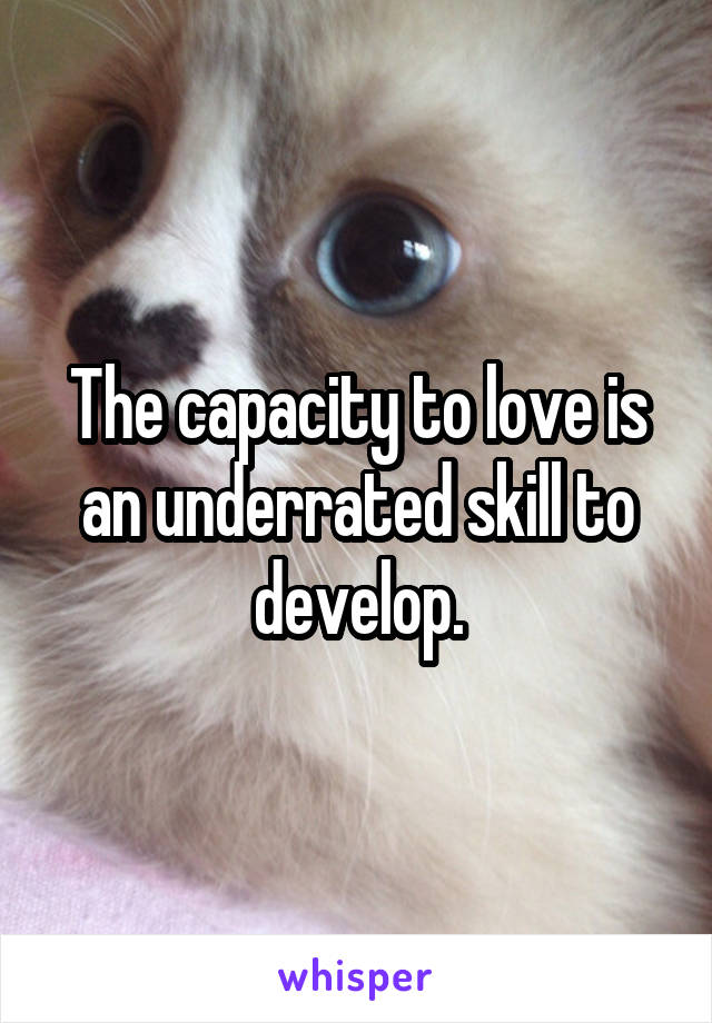 The capacity to love is an underrated skill to develop.